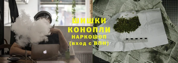 PSILOCYBIN Армянск