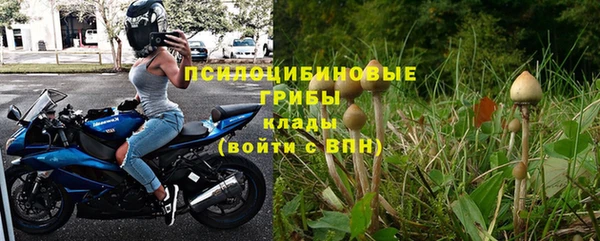PSILOCYBIN Армянск