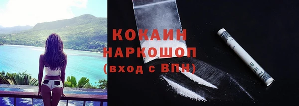 PSILOCYBIN Армянск