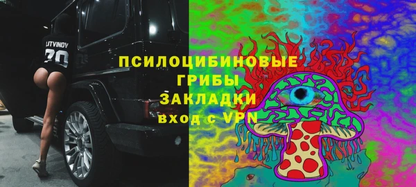 PSILOCYBIN Армянск