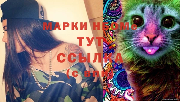 PSILOCYBIN Армянск